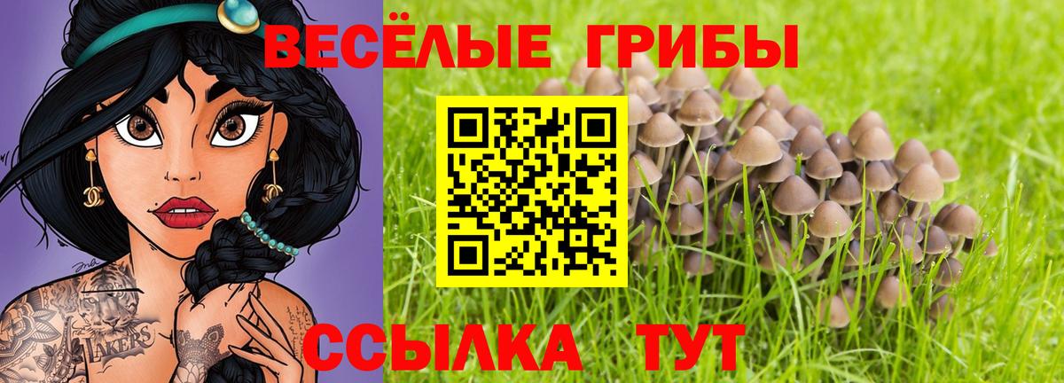 Псилоцибиновые грибы мицелий  Вход с VPN  Ачхой-Мартан 